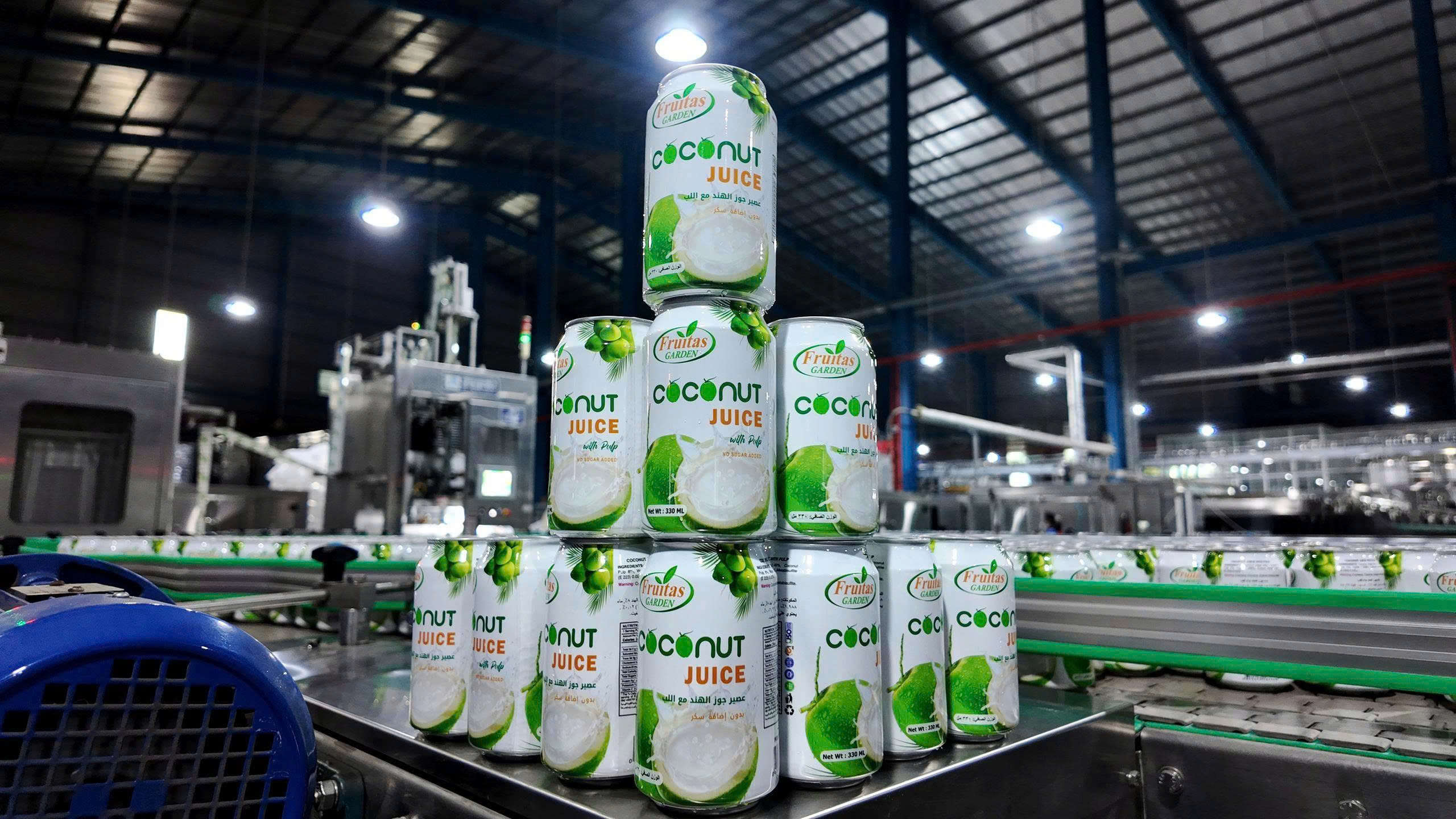 Fruitas Garden Coconut Water with Pulp – Premium OEM Beverage for Global Importers